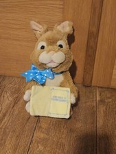 Peter Rabbit Talking Moving