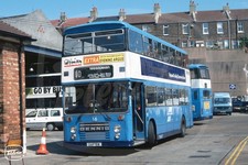 Bus Photo - Brighton Buses 16