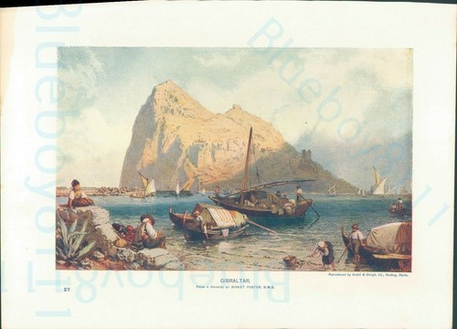 Edwardian print gibraltar - edwardian,