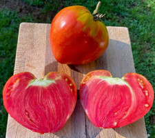 15 German Red Strawberry