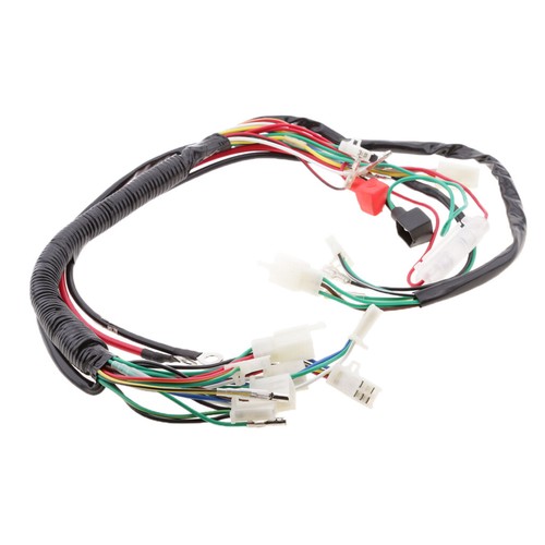 Wiring loom for 110cc 125cc
