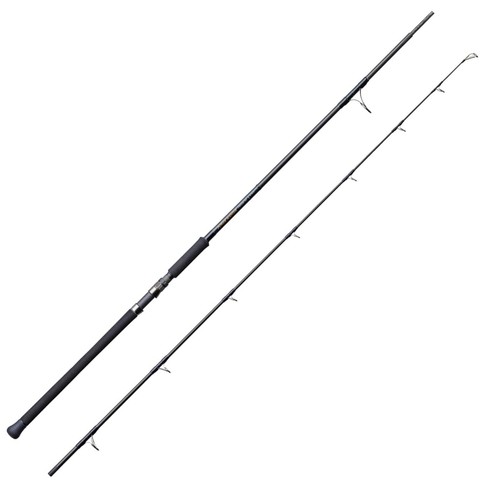 Tenryu spinning rod - spinning,