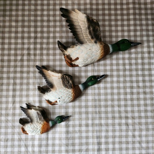 Flying wall ducks - wall, x3