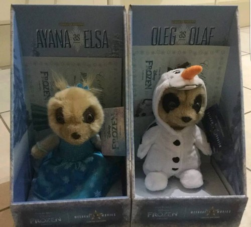 Both disney frozen ayana - both,
