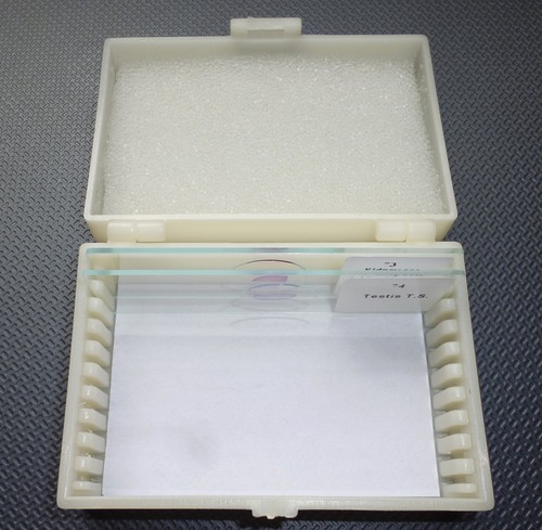 Microscope slides storage box - storage,