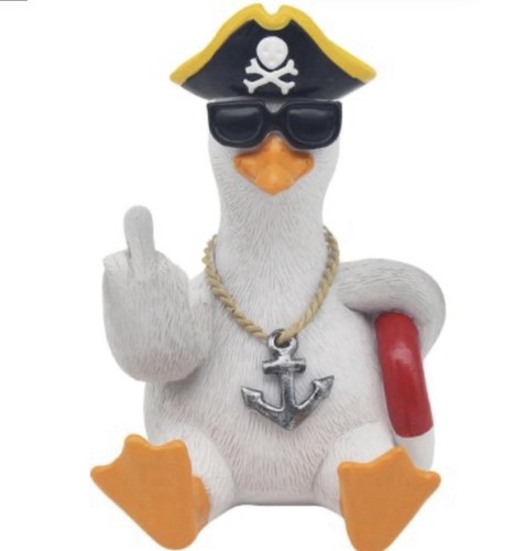 Seagull bird pirate sailor - pirate,