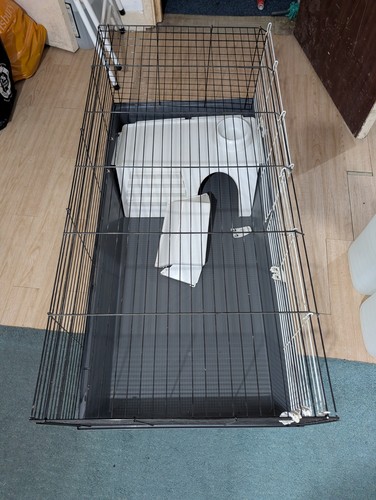 120cm indoor rabbit guinea - indoor,
