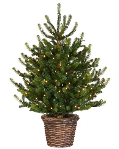 Pre lit potted - pre-lit, tree