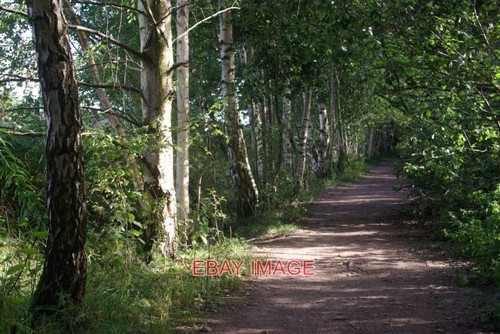 Photo former railway - photo, near