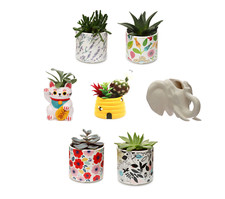 Ceramic Indoor Plant Pots