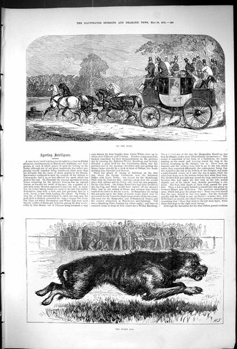 Transport coach horses - transport,