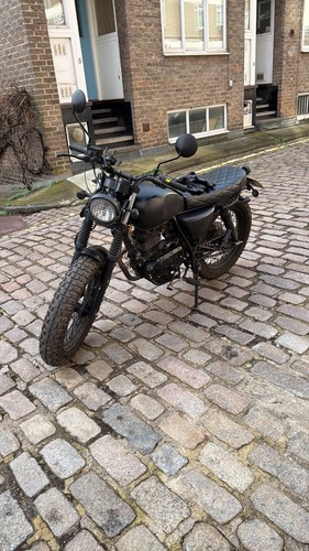 Mutt fat sabbath 125cc 2021 - fat,