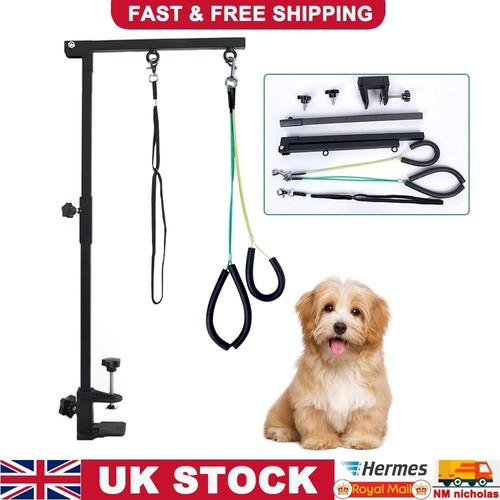 Pet grooming arm with - pet, clamp