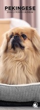 Pekingese Dog 2026 Slim