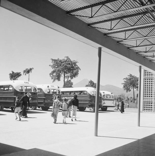 The school buses seen arbor