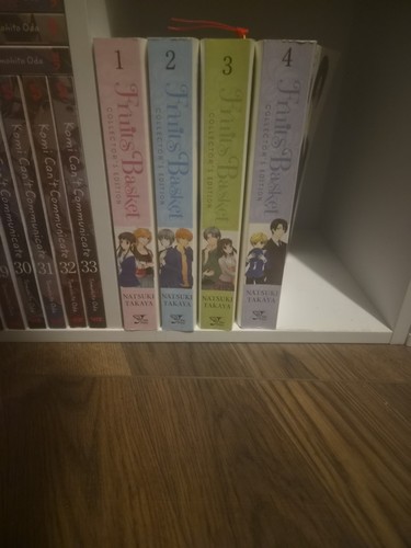 Fruits basket collector - fruits,