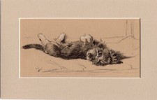Cecil Aldin ~ Dachshund Puppy ~ Black & White Print Genuine Vintage 1935