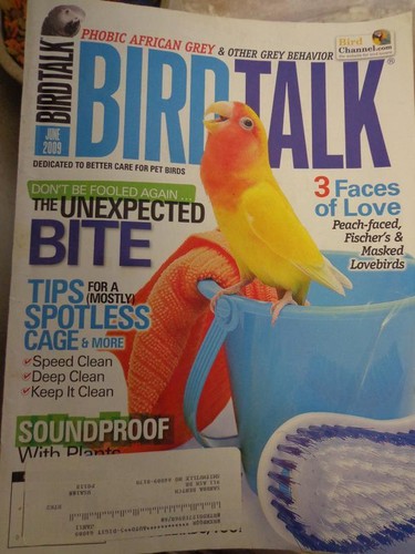 Bird talk magazine - talk, 09