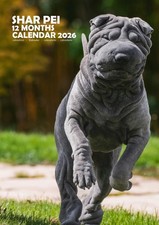 Shar Pei A3 2026 Calendar
