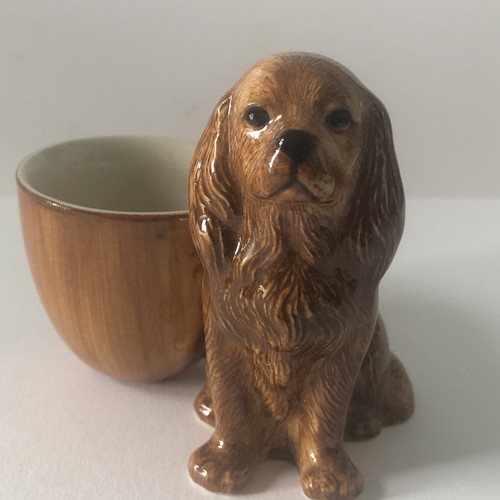 King charles spaniel brown - charles,