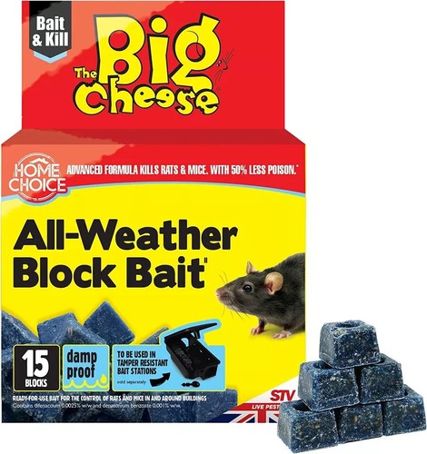Big cheese professional - big,