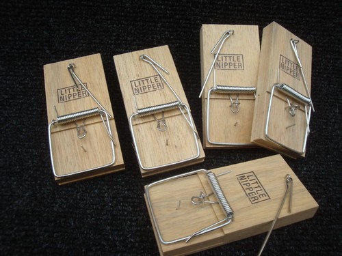 Little nipper mouse traps - 5, x