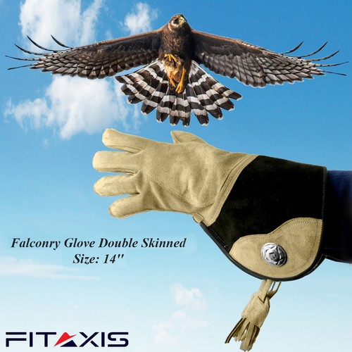 Hawking glove double layer - glove,