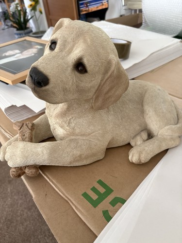 Sandicast labrador dog - sandicast,