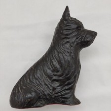 West highland terrier Black