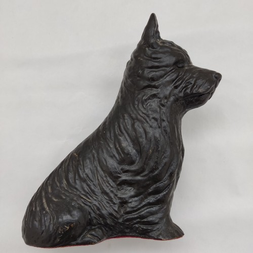 West highland terrier black - terrier,