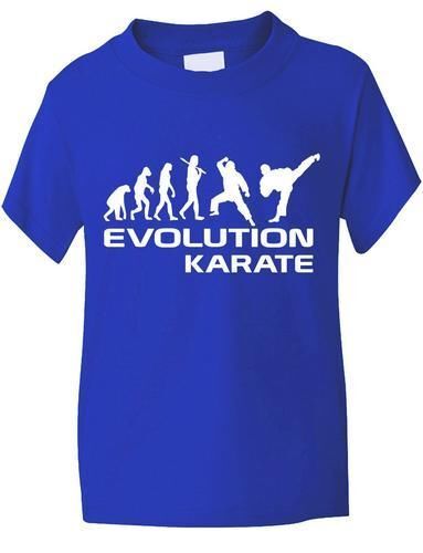 Evolution karate martial - of,