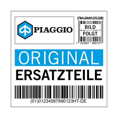 Door panel piaggio right - panel,