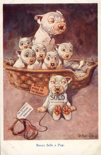Bonzo postcard george - postcard,