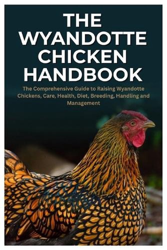 The wyandotte chicken - the,