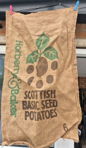 Used hessian potato - hessian,