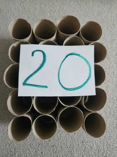 Empty toilet roll - empty,