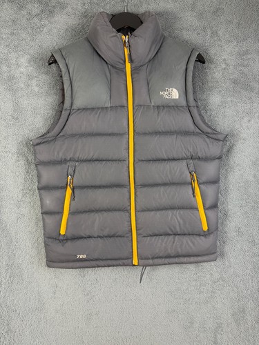 The north face 700 fill - north,