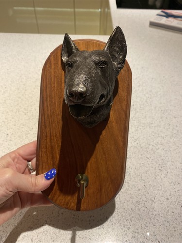English bull terrier - bull,