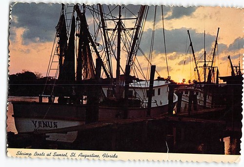 Postcard shrimp boats - postcard,