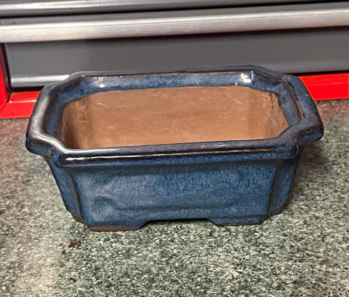 Bonsai pot rectangular glazed - bonsai,