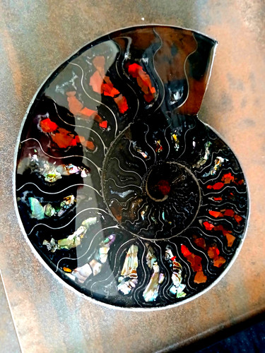Natural rainbow ammolite