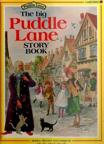 The big puddle lane - puddle, book