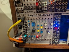 ALM Busy Circuits Squid Salmple Eurorack Sampler Module
