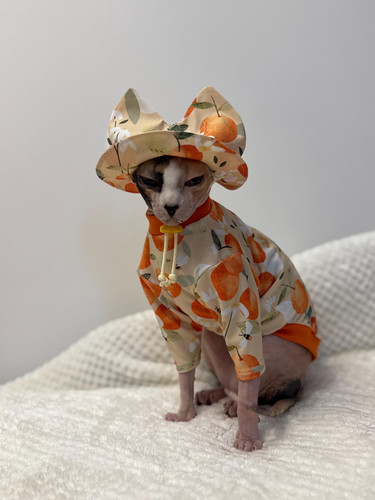 Sphynx cat protection - uv,