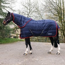 Whitaker Rastrick V2 250G