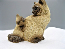 UDC Siamese Mother Cat and