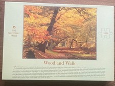 Woodland, Ashridge Estate