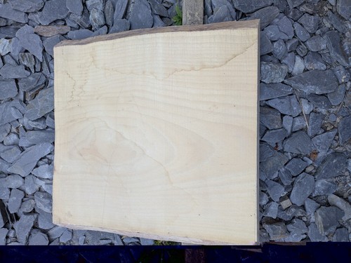 Beech timber live - timber,,