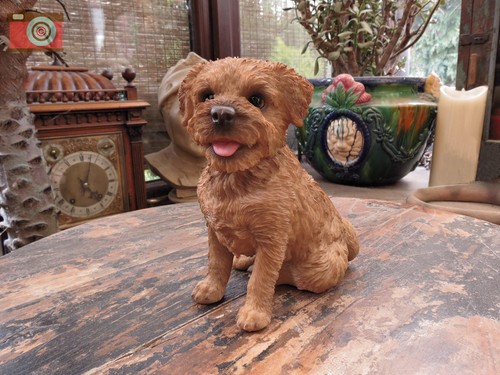 Sitting border terrier - sitting, by