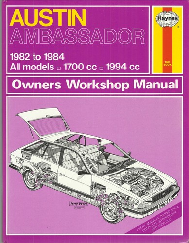 Austin ambassador 2 0 - austin, 2.0